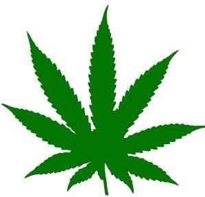 Washington: Marijuana Legal - Smokin Js