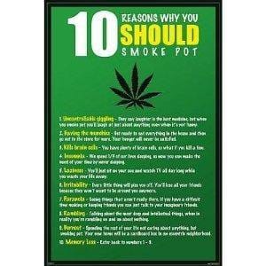 10 Reasons Why You Should Smoke Pot Poster - Smokin Js
