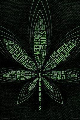 99 Cannabis Terms Poster - Smokin Js