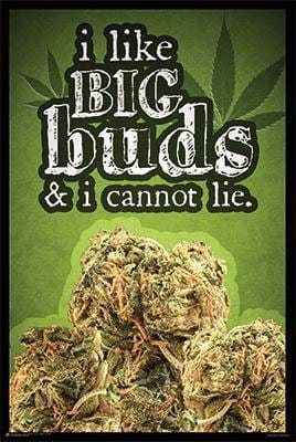 Big Buds Poster - Smokin Js