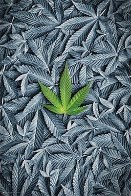Green Leaf Poster - Smokin Js