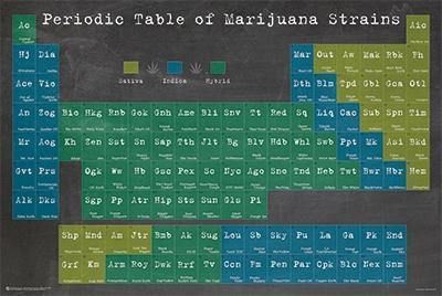 Periodic Table Of Marijuana - Smokin Js
