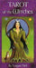 Witches Tarot Card Deck - Smokin Js